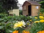 Jardin_partage_Croulebarbe_-_28_juillet_2011_-_4.jpg