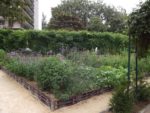 Jardin_partage_Croulebarbe_-_28_juillet_2011_-_7.jpg