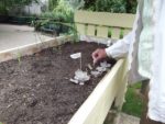 Table de jardinage surélevé fabriquée par les adhérents
