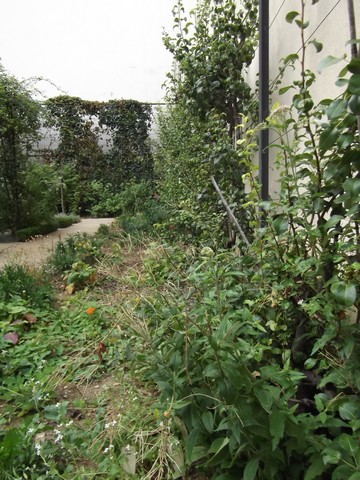Jardin partagé du Clos des Blancs Manteaux