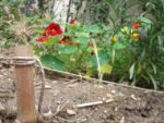 Jardin_partage_des_Blancs_Manteaux_-_Paris_4eme_-_15.jpg