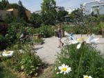 Le_Poireau_Agile_-_Fete_de_la_Nature_-_21_mai_2011_-10.jpg