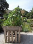 Le_Poireau_Agile_-_Fete_de_la_Nature_-_21_mai_2011_-18.jpg