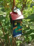 Le_Poireau_Agile_-_Fete_de_la_Nature_-_21_mai_2011_-22.jpg