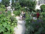 Le_Poireau_Agile_-_Fete_de_la_Nature_-_21_mai_2011_-3.jpg