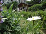 Le_Poireau_Agile_-_Fete_de_la_Nature_-_21_mai_2011_-6.jpg