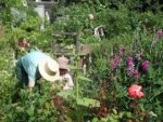 Le_Poireau_Agile_-_Fete_de_la_Nature_-_21_mai_2011_-_4.jpg