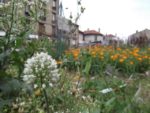 Le_Pouce_Vert_-_Pre_-Saint_Gervais_12.jpg