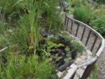 Le_Pouce_Vert_-_Pre_-Saint_Gervais_18.jpg