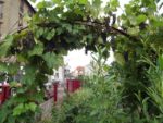 Le_Pouce_Vert_-_Pre_-Saint_Gervais_25.jpg