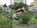 Le_Pouce_Vert_-_Pre_-Saint_Gervais_35.jpg