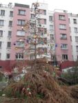 Le_Pouce_Vert_-_Pre_-Saint_Gervais_7.jpg