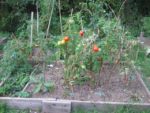 Le_jardin_de_la_Plage_Arriere_-_Pique-nique_Aout_2011_-_Bagnolet_10_.jpg