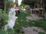 Le_jardin_de_la_Plage_Arriere_-_Pique-nique_Aout_2011_-_Bagnolet_17_.jpg