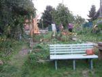 Le_jardin_de_la_Plage_Arriere_-_Pique-nique_Aout_2011_-_Bagnolet_19_.jpg