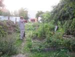 Le_jardin_de_la_Plage_Arriere_-_Pique-nique_Aout_2011_-_Bagnolet_5_.jpg