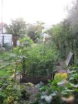 Le_jardin_de_la_Plage_Arriere_-_Pique-nique_Aout_2011_-_Bagnolet_7_.jpg