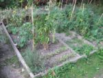 Le_jardin_de_la_Plage_Arriere_-_Pique-nique_Aout_2011_-_Bagnolet_8_.jpg