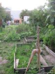 Le_jardin_de_la_Plage_Arriere_-_Pique-nique_Aout_2011_-_Bagnolet_9_.jpg