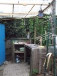 Pique-nique_au_jardin-guinguette_de_la_Dhuys_-_jeudi_18_aout_2011_-_Bagnolet_-_14.jpg