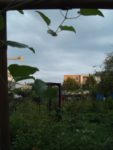 Pique-nique_au_jardin-guinguette_de_la_Dhuys_-_jeudi_18_aout_2011_-_Bagnolet_-_4.jpg