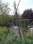 Pique-nique_au_jardin-guinguette_de_la_Dhuys_-_jeudi_18_aout_2011_-_Bagnolet_-_6.jpg