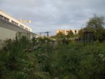 Pique-nique_au_jardin-guinguette_de_la_Dhuys_-_jeudi_18_aout_2011_-_Bagnolet_-_7.jpg