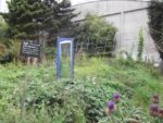 Pique-nique_au_jardin-guinguette_de_la_Dhuys_-_jeudi_18_aout_2011_-_Bagnolet_-_9.jpg