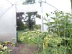 Pique-nique_au_jardin_de_l_Equerre_-_91_-_Aout_2011_11_.jpg