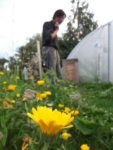 Pique-nique_au_jardin_de_l_Equerre_-_91_-_Aout_2011_13_.jpg