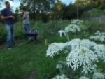 Pique-nique_au_jardin_de_l_Equerre_-_91_-_Aout_2011_16_.jpg