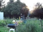 Pique-nique_au_jardin_de_l_Equerre_-_91_-_Aout_2011_17_.jpg