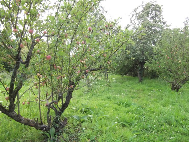 Pique-nique au jardin de l’Equerre