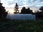 Pique-nique_au_jardin_de_l_Equerre_-_91_-_Aout_2011_20_.jpg