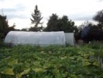 Pique-nique_au_jardin_de_l_Equerre_-_91_-_Aout_2011_4_.jpg
