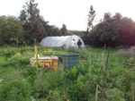 Pique-nique_au_jardin_de_l_Equerre_-_91_-_Aout_2011_6_.jpg