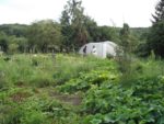Pique-nique_au_jardin_de_l_Equerre_-_91_-_Aout_2011_7_.jpg