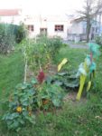 Pique-nique_au_jardin_pour_tous_-_jeudi_15_septembre_-_Villejuif_1_10_.jpg