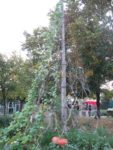 Pique-nique_au_jardin_pour_tous_-_jeudi_15_septembre_-_Villejuif_1_11_.jpg