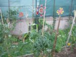 Pique-nique_au_jardin_pour_tous_-_jeudi_15_septembre_-_Villejuif_1_19_.jpg
