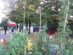 Pique-nique_au_jardin_pour_tous_-_jeudi_15_septembre_-_Villejuif_1_20_.jpg