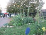 Pique-nique_au_jardin_pour_tous_-_jeudi_15_septembre_-_Villejuif_1_27_.jpg