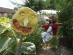 c_est_si_bio_-_jardin_partag_nanterre_12.jpg