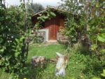 c_est_si_bio_-_jardin_partag_nanterre_15.jpg