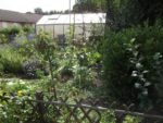 c_est_si_bio_-_jardin_partag_nanterre_16.jpg