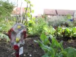 c_est_si_bio_-_jardin_partag_nanterre_17.jpg