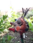 c_est_si_bio_-_jardin_partag_nanterre_18.jpg