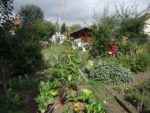 c_est_si_bio_-_jardin_partag_nanterre_20.jpg