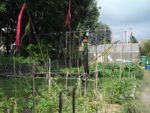c_est_si_bio_-_jardin_partag_nanterre_25.jpg