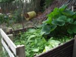 c_est_si_bio_-_jardin_partag_nanterre_26.jpg